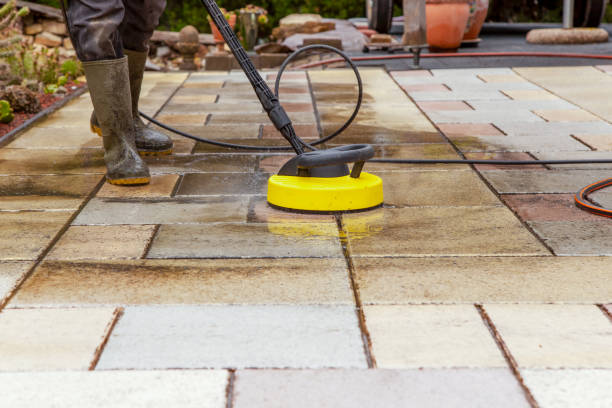 Best Animal Enclosure Cleaning  in Spring Creek, NV